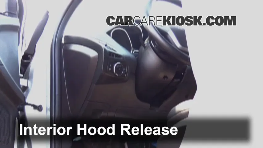 2013 Ford Focus SE 2.0L 4 Cyl. FlexFuel Hatchback Hood